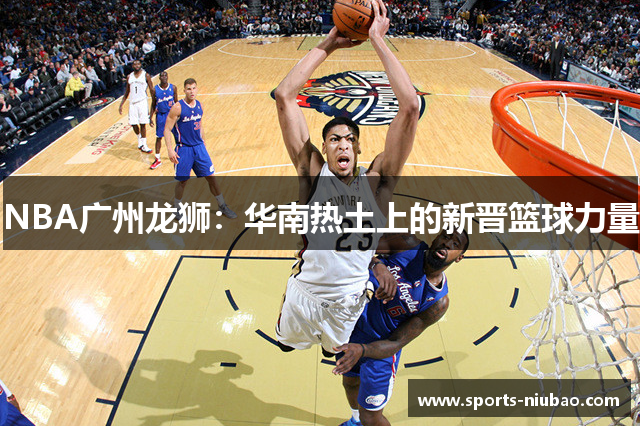 NBA广州龙狮：华南热土上的新晋篮球力量